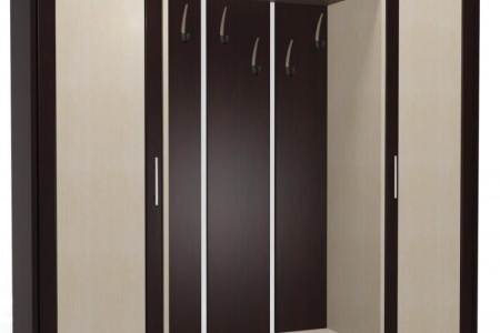 Набор мебели для прихожей "Мебелайн-17"